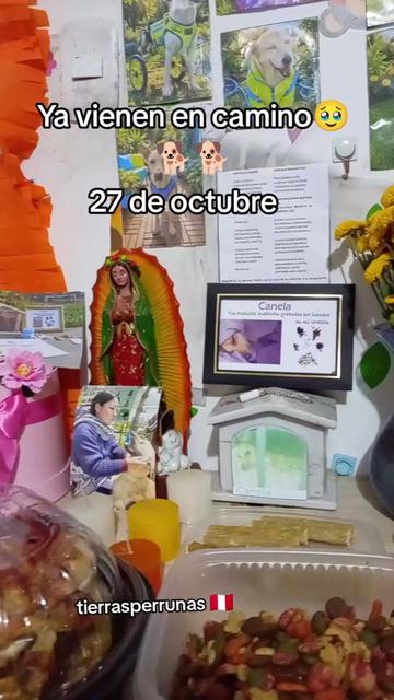 @Asociaci&oacute;n T.Perrunas🐕🐈🇵🇪