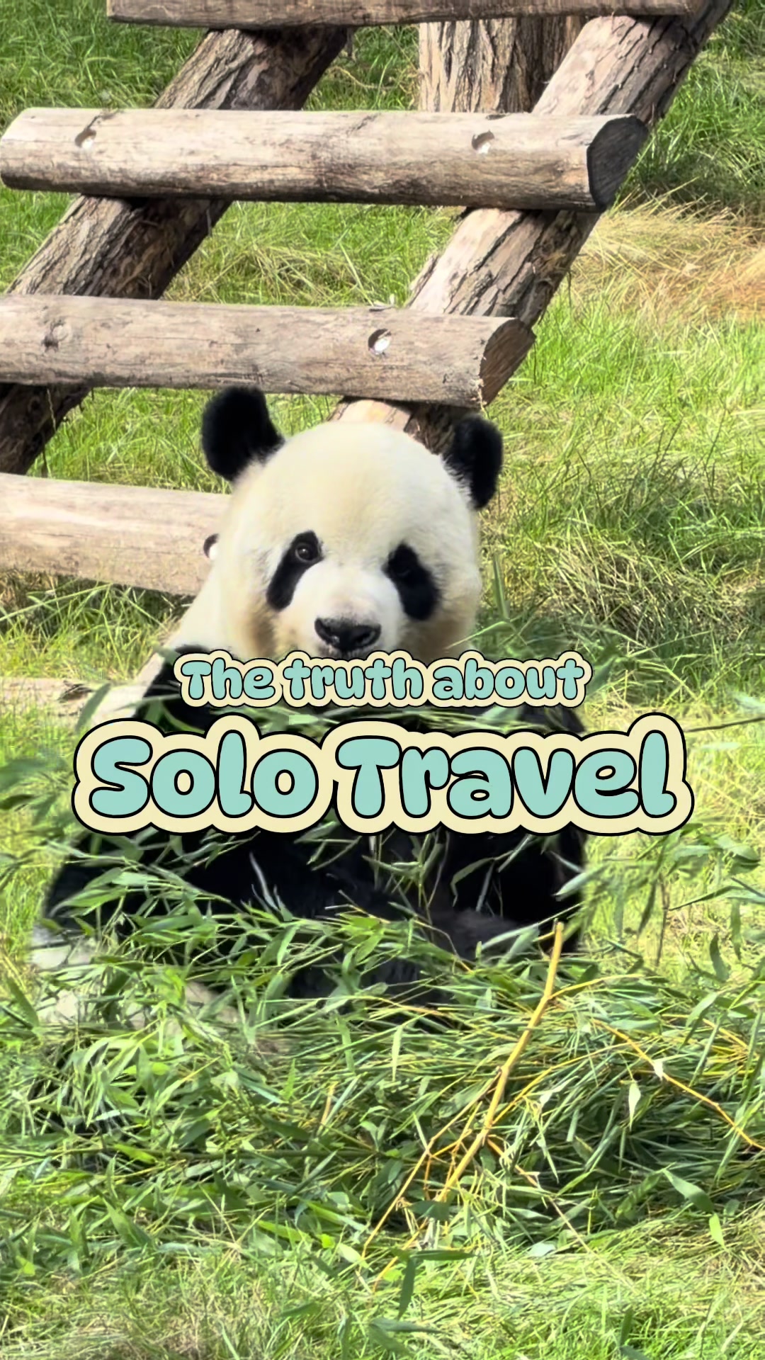 @Shannon | Your Travel Bestie