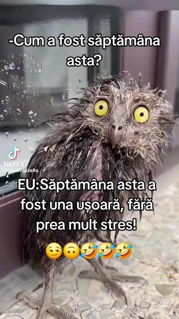 @Ana Anastasia Burian