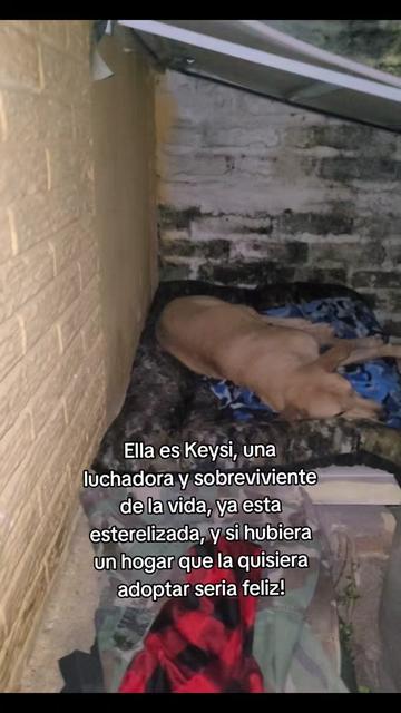 @𝕃𝕚𝕤𝕤 ℝ𝕖yes🇸🇻