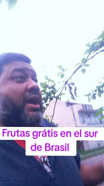 @Los Garcia