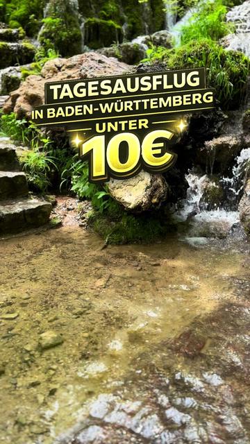 @Schwarzwald Pur