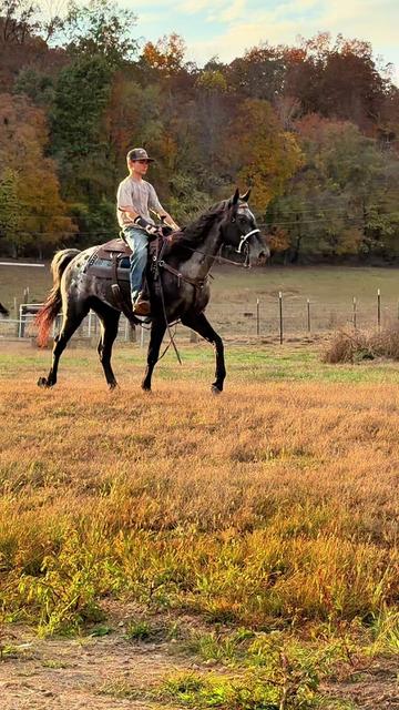 @Lucky D Ranch 🍀