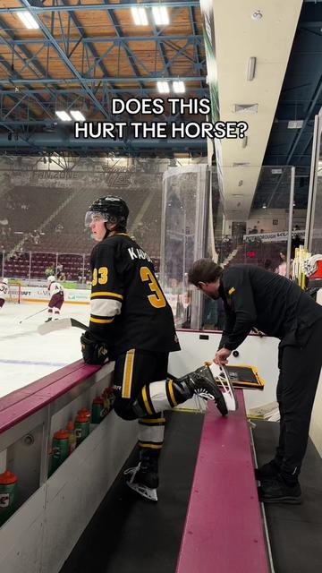 @Sarnia Sting