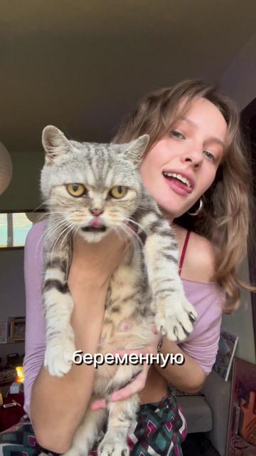 @niabellis