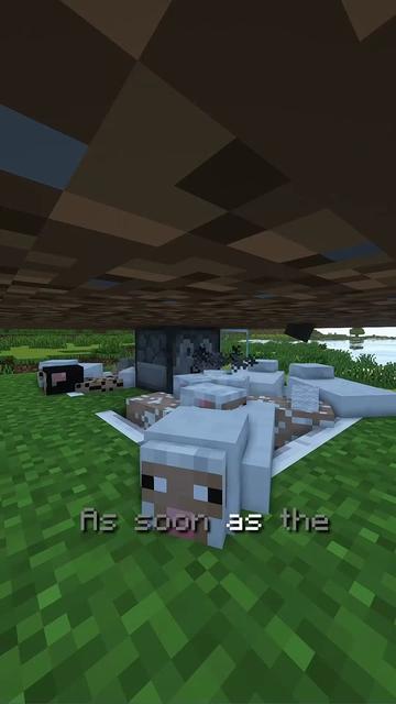 @MINECRAFT CLIPS