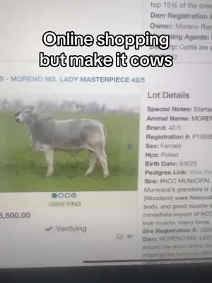 @Moreno Ranches