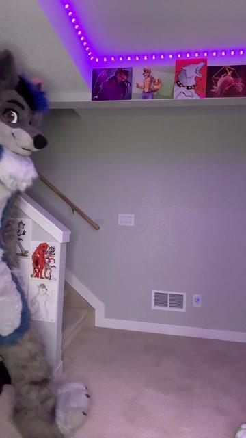 @DisjointWolfy