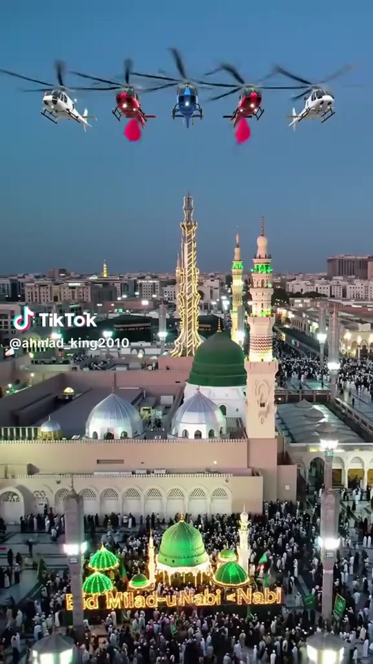 @Musa Bhai 👑