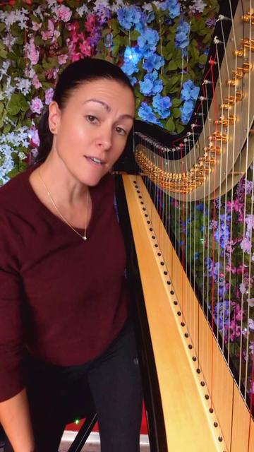 @hillarytheharpist