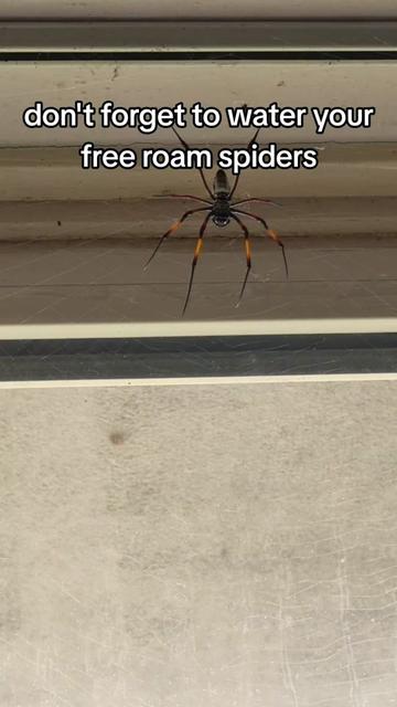 @Bestiesbeasties