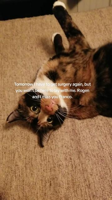 @💀🥀✨️🕯Josie🕯✨️🥀💀
