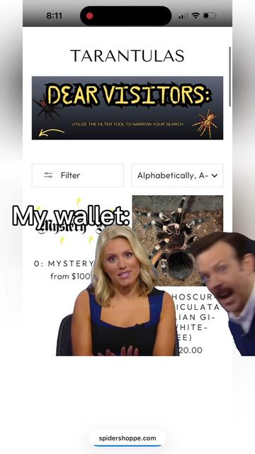 @lazywitch66