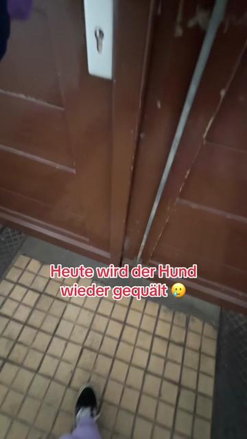 @SausagedogMaja