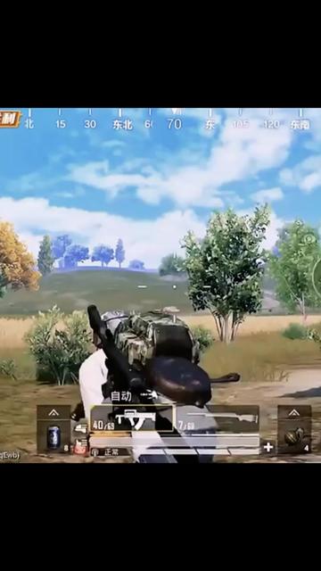 @PUBG-chic