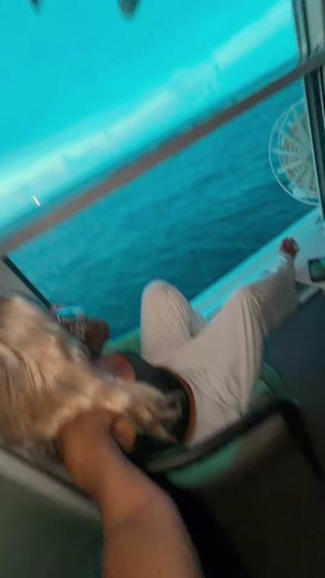 @Bai