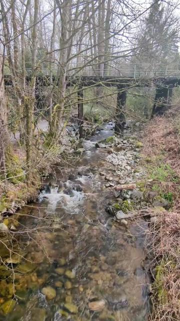 @Mister Nickel