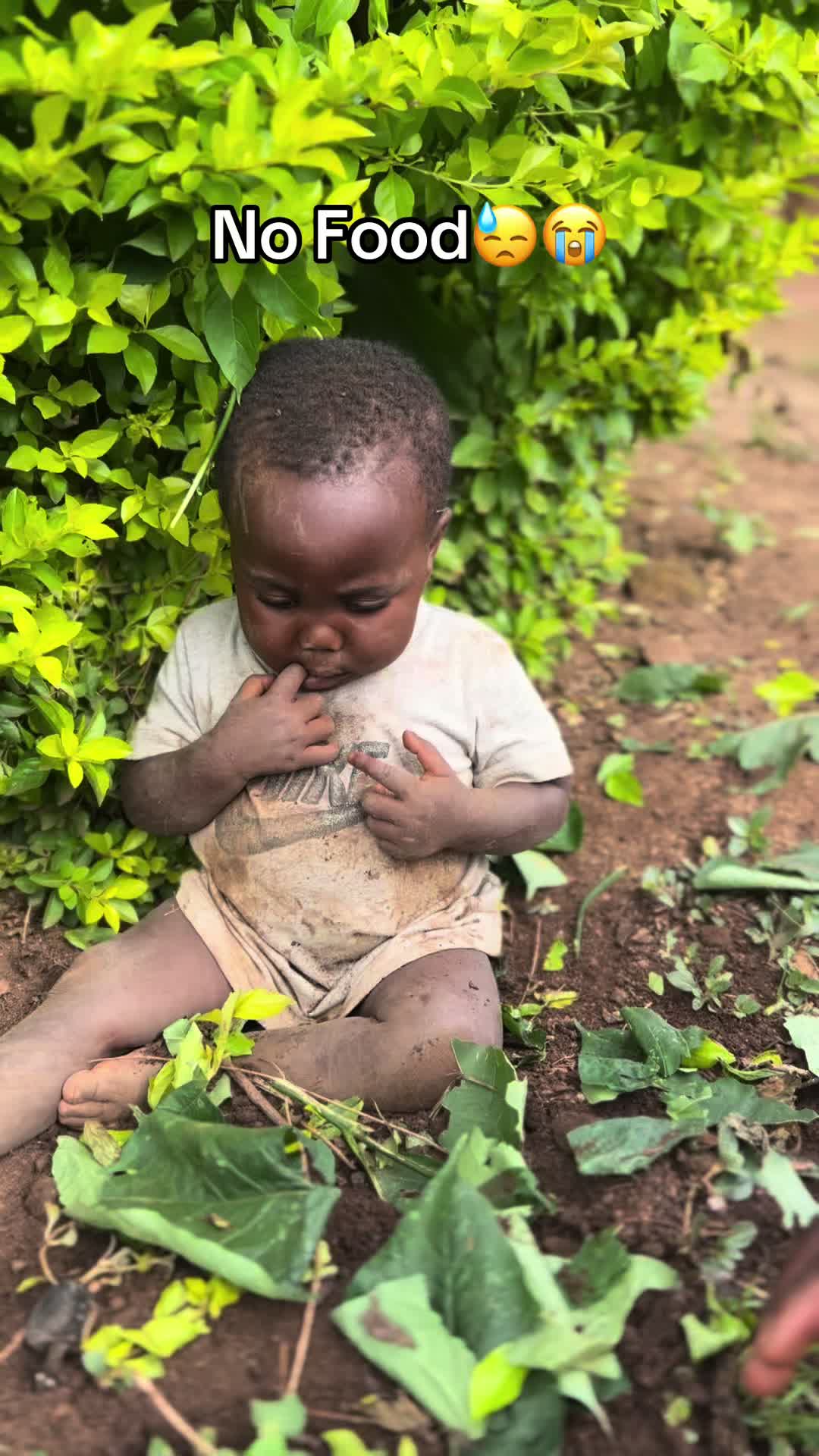 @markfoundation0