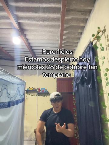 @Alexcastro