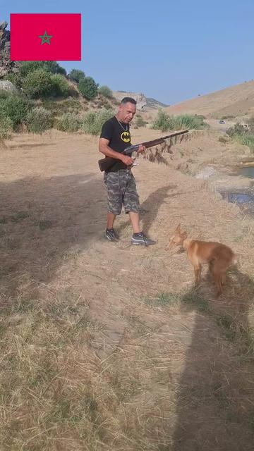 @akrabi