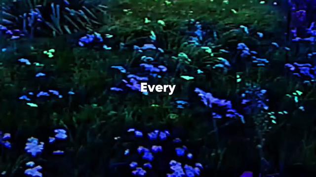 @axxi