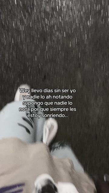 @Moquito 🦟👣