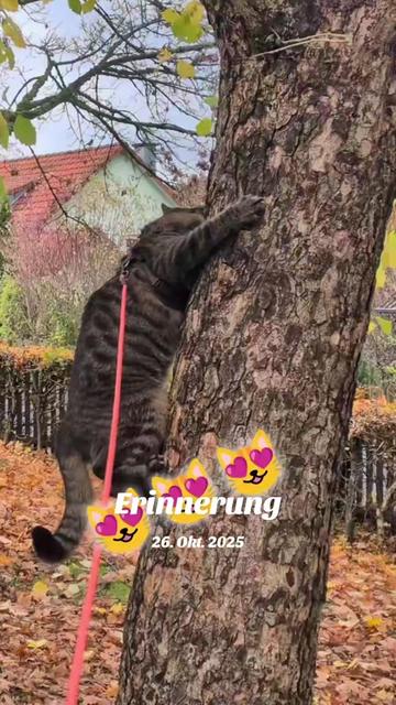 @😻Katrin&Odin 😻Modi Muddi 😻