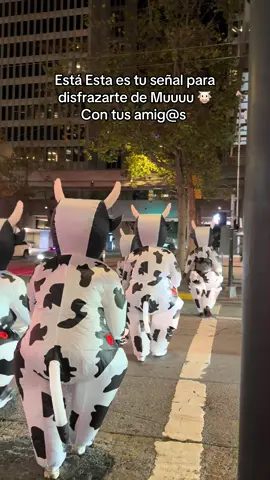 @fermqeoficial
