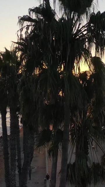 @Visit Ventura