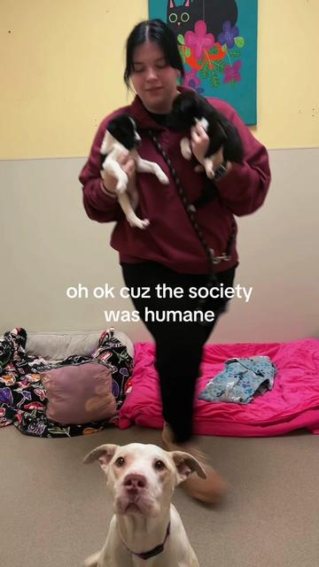 @Lynchburg Humane Society