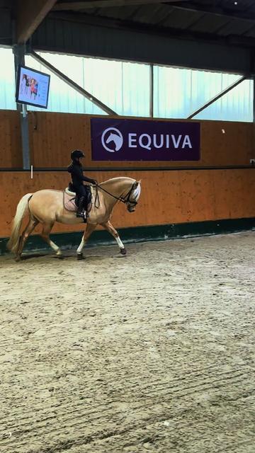 @Shanea & ihre Ponys ♥️🐴
