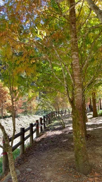 @Vicky