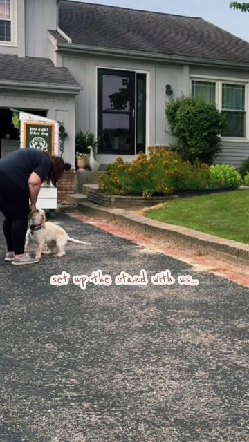 @sara | just a girl & her dog