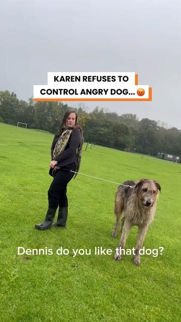 @Go Fetch