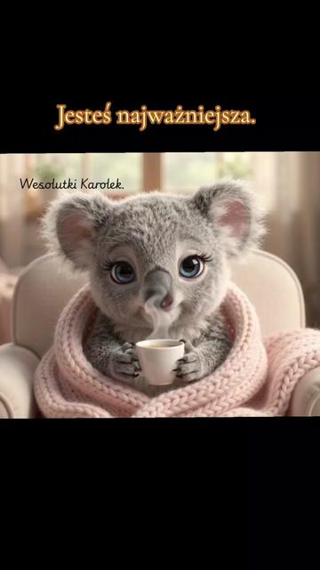 @Wesolutki Karolek 🐨