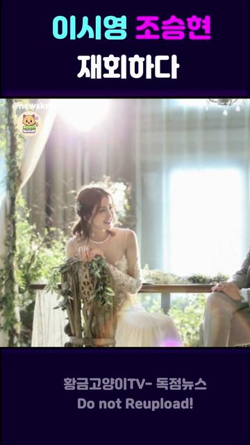 @황금고양이TV