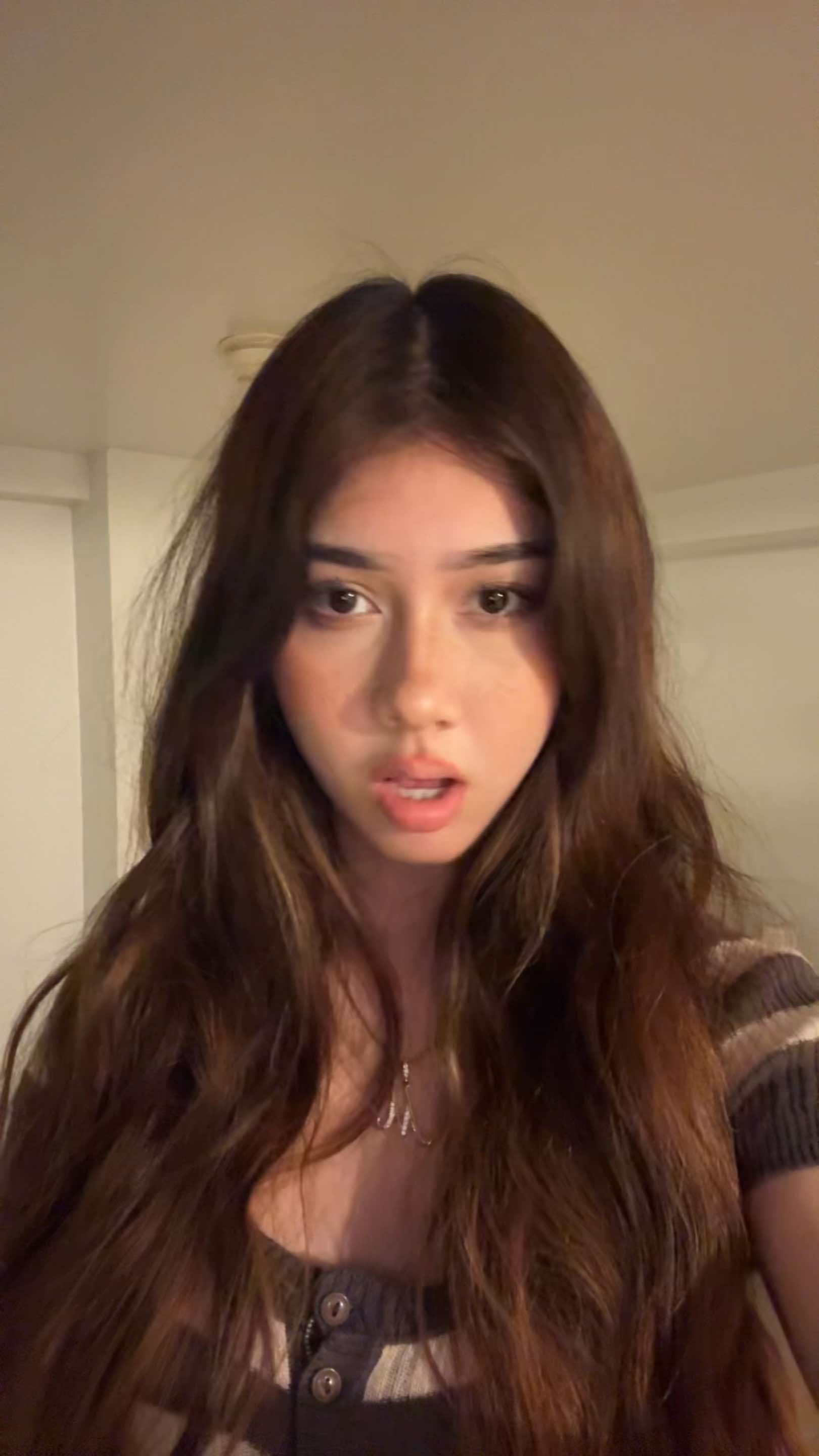 @เมเปิ้ลที่ไม่ใช่ต้นไม้