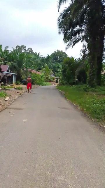 @Parsumbul Julu