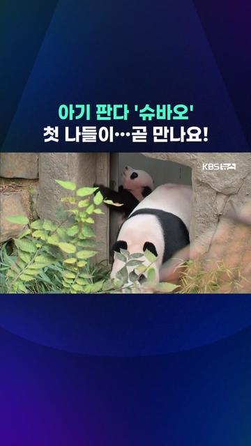 @KBSNEWS