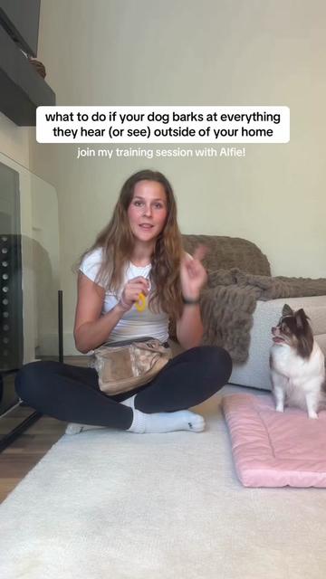 @Abby KPA-CTP | Dog Trainer