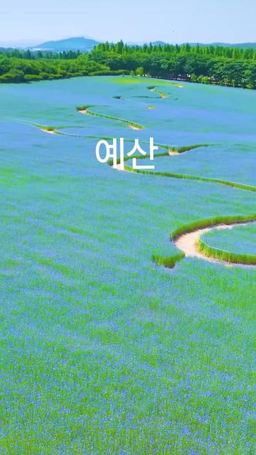 @미샤