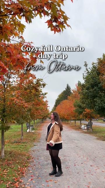 @Elser | Ottawa, Travel & Cozy