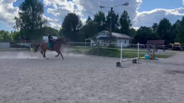 @Team.Toikkanen🇫🇮💞