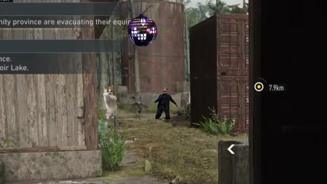 @MiniMagic1k