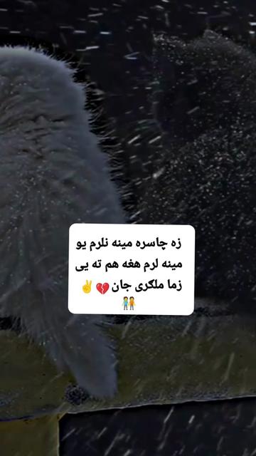 @💔🌿Laghmani