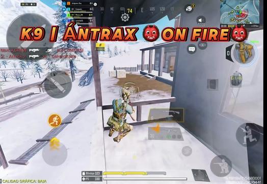 @ANTRAX 504