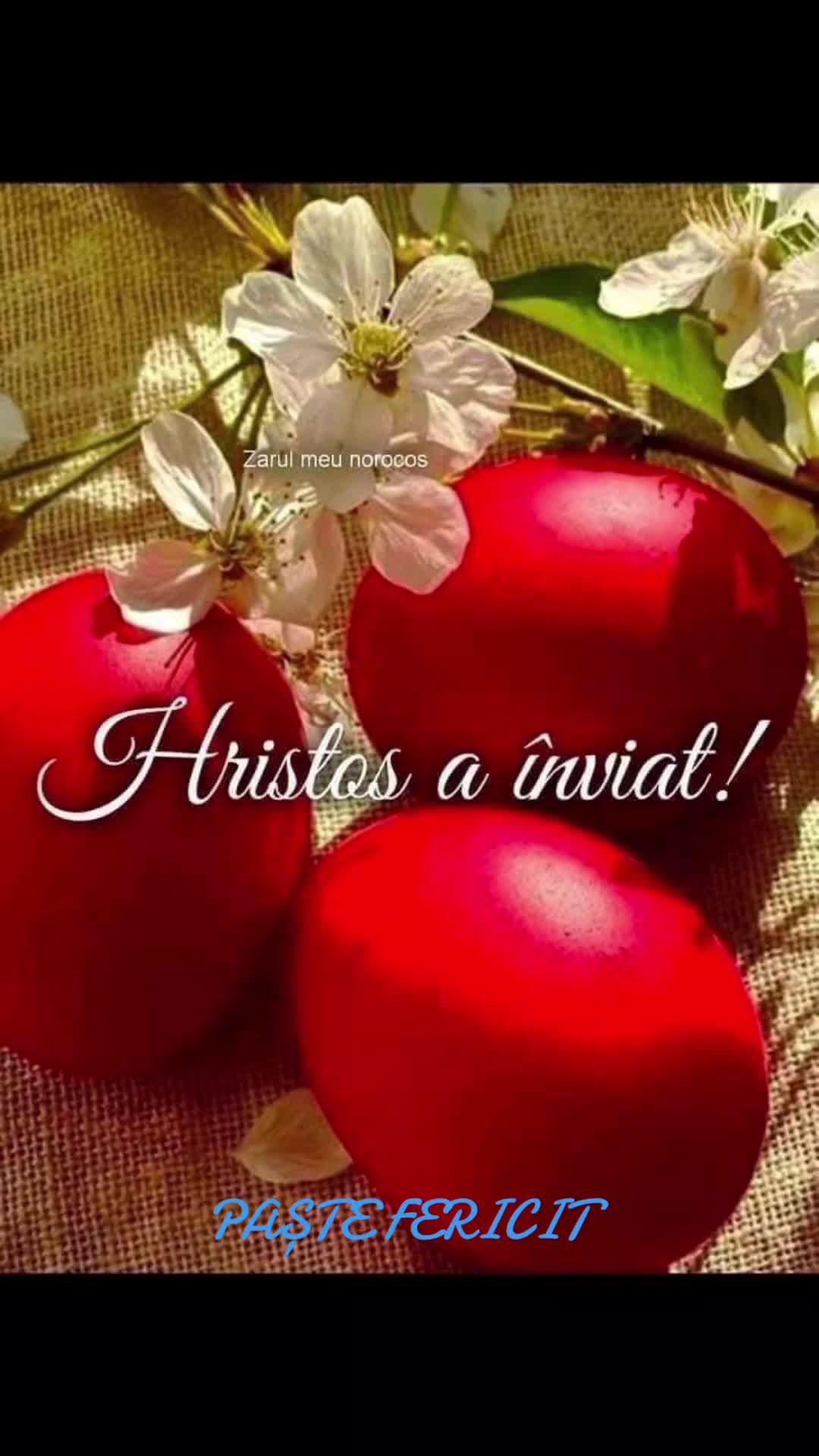 @Carmen