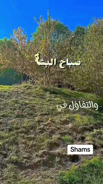 @Shams