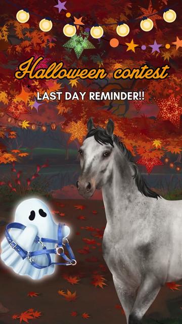 @Horse Reality