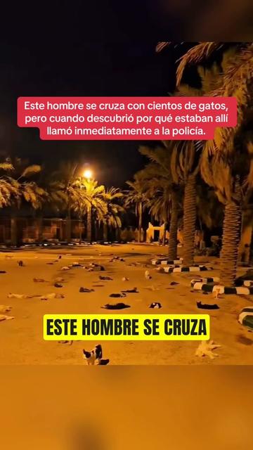 @História_real_estrangeiro